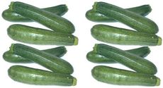 Zucchini6+6.jpg